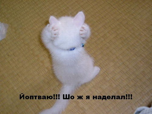  (500x375, 30Kb)