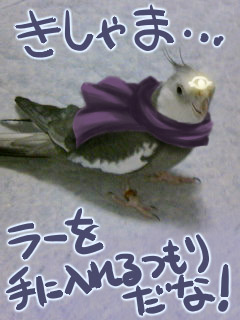  (240x320, 29Kb)
