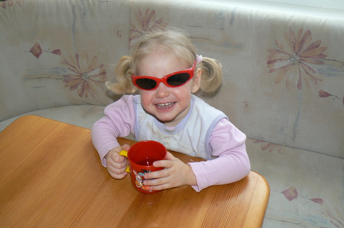 P1010697 (699x464, 68Kb)