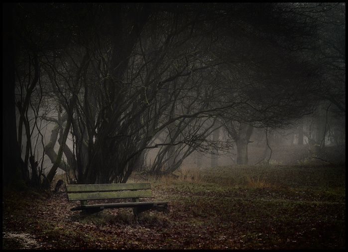 343 (699x506, 160Kb)