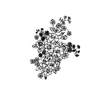  (200x200, 6Kb)
