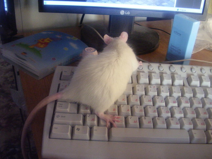  (700x525, 71Kb)