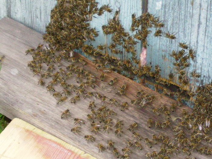 ��� �������;-) (700x525, 103Kb)