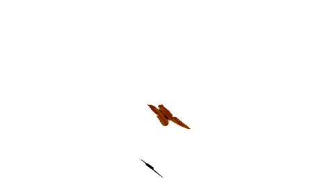 24959784_8812674_3207749_21494098_b7869cd92fd0 (480x270, 50Kb)