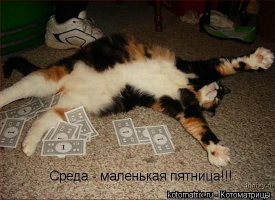 Прикольная картинка среда это маленькая пятница