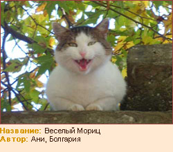  (250x220, 26Kb)