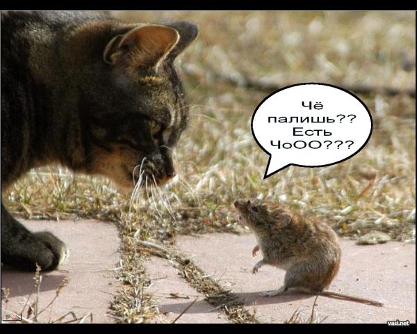  (600x480, 53Kb)