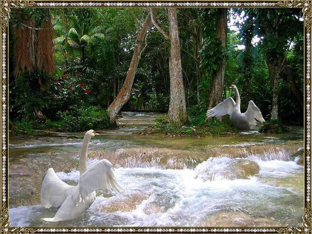  (640x480, 116Kb)