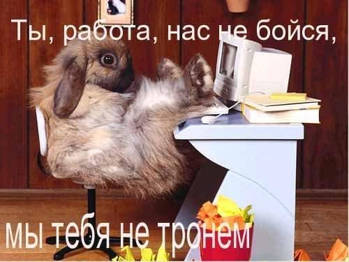  (500x375, 33Kb)