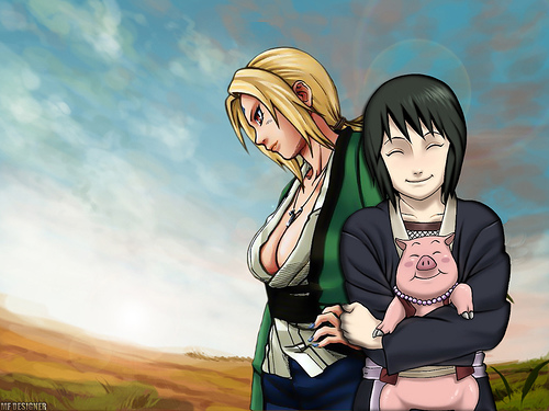  (500x375, 99Kb)