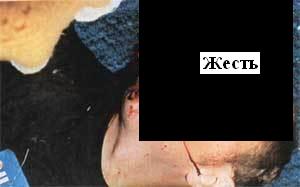  (300x187, 7Kb)