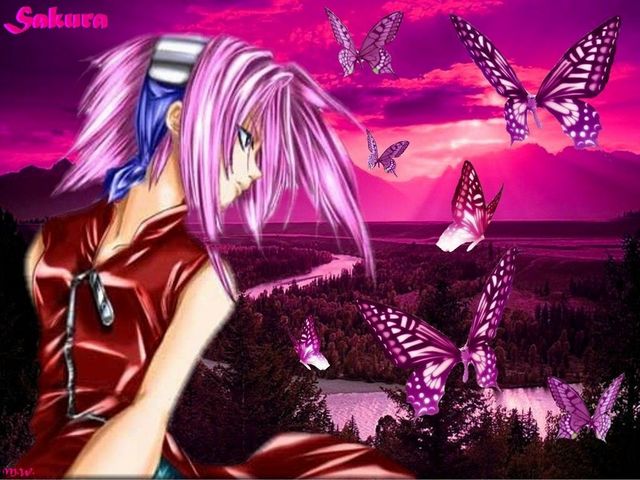  (640x480, 67Kb)
