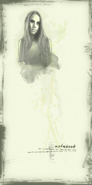  (300x600, 24Kb)