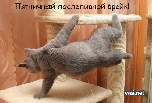 (499x337, 38Kb)