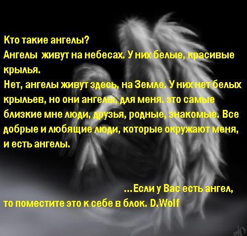 Эти крылья не мои. Фразы про ангелов. Высказывания про ангела. Ангел цитаты. Красивые цитаты про ангелов.