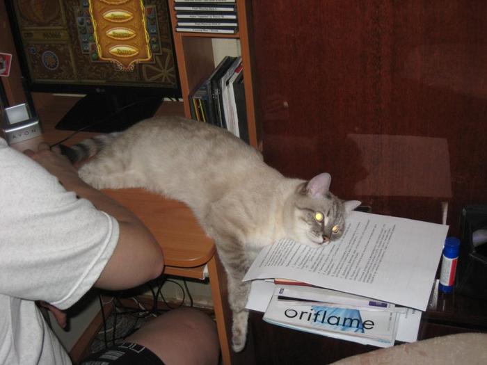  (700x525, 42Kb)