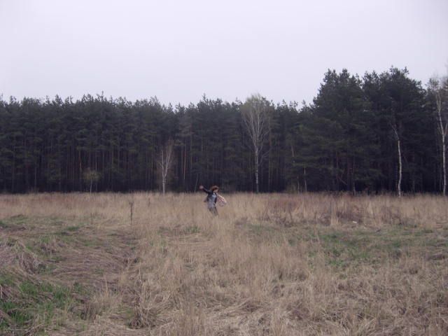  (640x480, 48Kb)