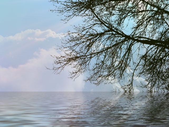  (640x480, 90Kb)