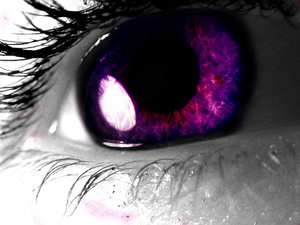Purple_By_Nature_by_Jessica_Corrin (300x225, 17Kb)
