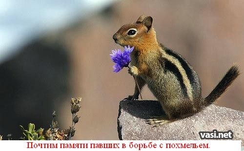  (500x310, 40Kb)