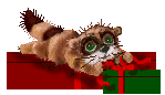  (149x86, 50Kb)