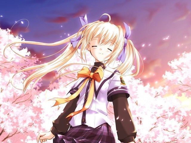  (640x480, 59Kb)