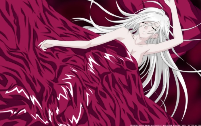 23616339_AnimePaperwallpapers_RosarioVampire_Daheji1 (699x437, 77Kb)