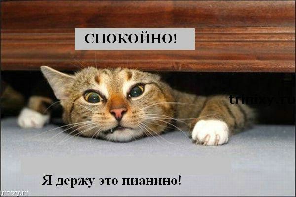  (600x400, 37Kb)