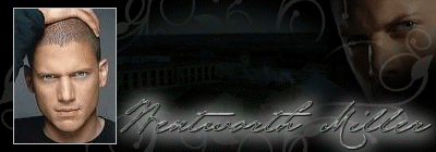  (400x140, 1030Kb)