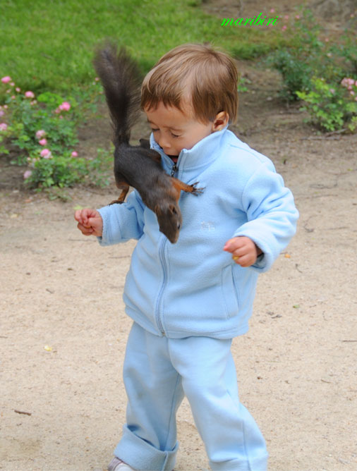 DSC_5095 (506x668, 75Kb)