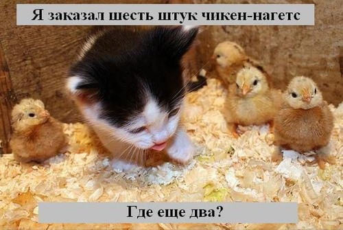  (500x335, 54Kb)