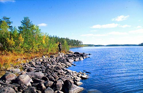 Озеро Тулос Карелия