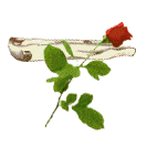 rosept (142x142, 63Kb)