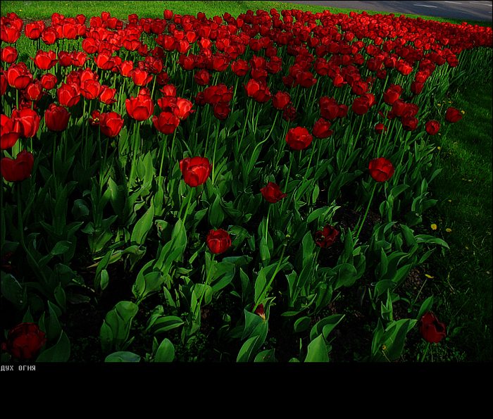  (700x595, 563Kb)