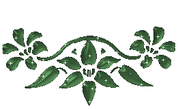  (261x159, 13Kb)