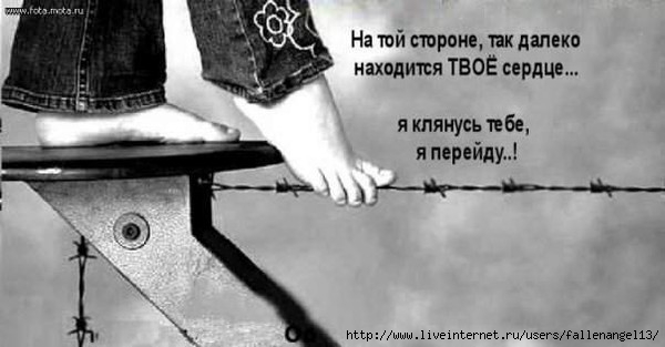 26353927_Put (600x313, 88Kb)