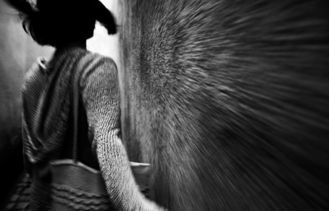15585737_12352847_eco4_by_andreinacu (469x301, 46Kb)