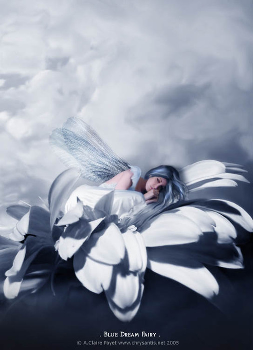 Flower Fairy Blue Dream