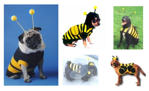 Костюм пчелы для собаки - Купить с доставкой по всей России