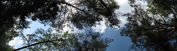  (697x202, 76Kb)