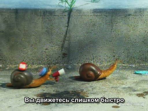 (512x384, 36Kb)