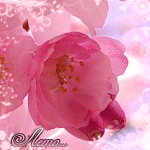 (150x150, 48Kb)