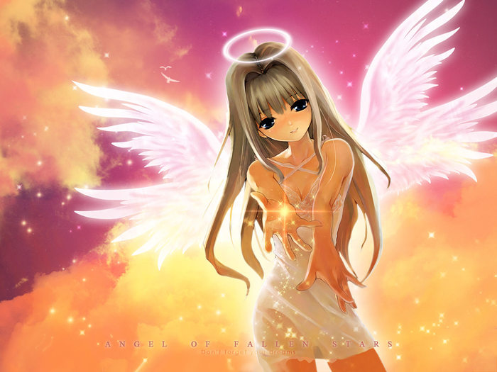 Angel_of_Fallen_Star (700x525, 72Kb)