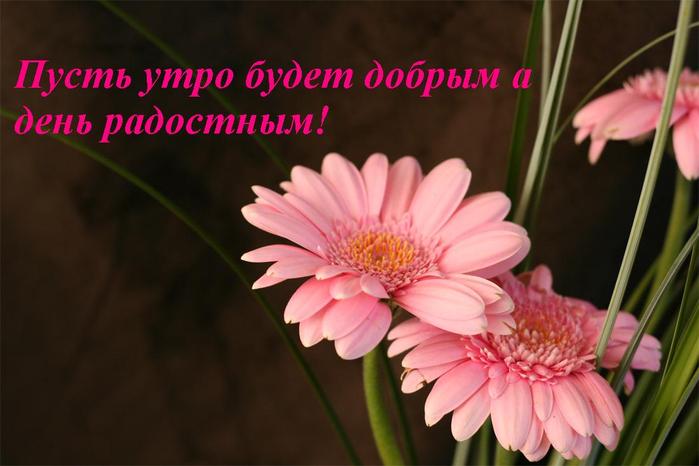 http://img0.liveinternet.ru/images/attach/b/3/28/17/28017612_pust_utro_budet_dobruym.JPG