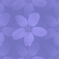  (200x200, 10Kb)