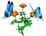 c3c62efbd992ad280b2f29e267db5462 (160x126, 33Kb)