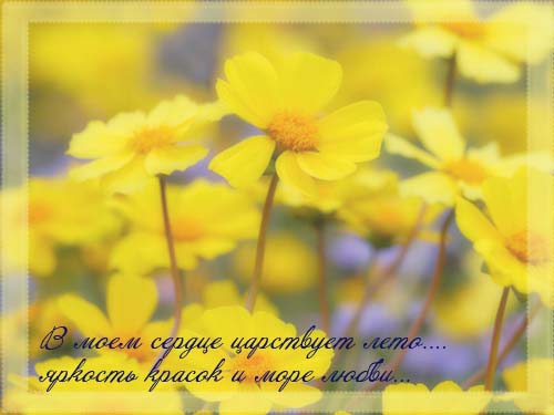  (500x375, 50Kb)