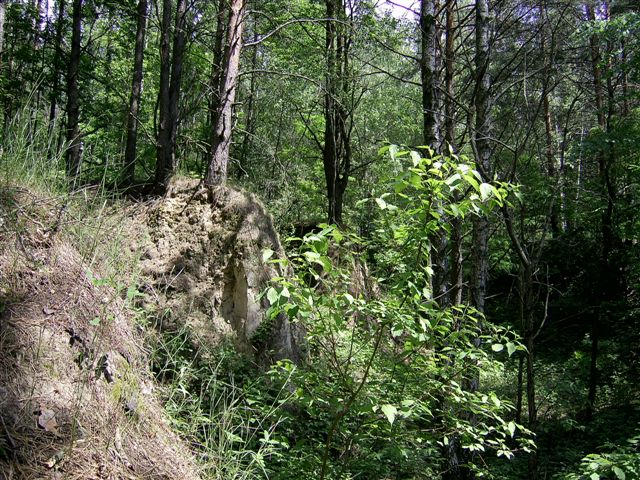  (640x480, 135Kb)
