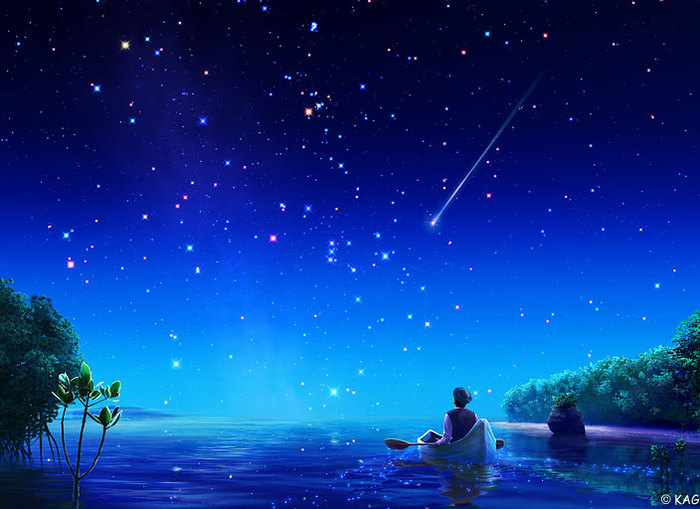 the star (700x509, 82Kb)