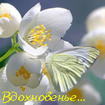  (150x150, 18Kb)